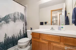 305 Amber Dr, Windsor, CO 80550 - Photo 17