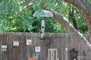 1179 Lilac St, Broomfield, CO 80020 - Photo 19