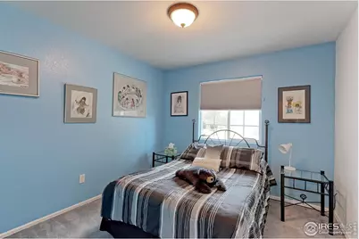 3757 Settler Ridge Dr, Mead, CO 80542 - Photo 15