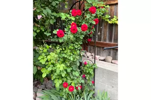 204 Linden St, Frederick, CO 80530 - Photo 33