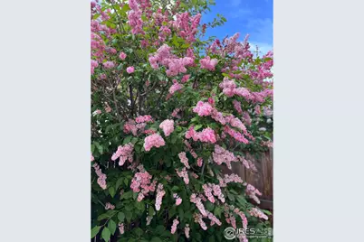 204 Linden St, Frederick, CO 80530 - Photo 29