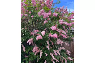 204 Linden St, Frederick, CO 80530 - Photo 29