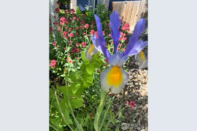 204 Linden St, Frederick, CO 80530 - Photo 27