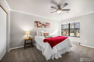 977 Gilgalad Way, Fort Collins, CO 80526 - Photo 15