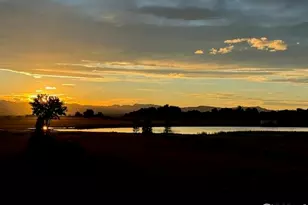 327 Duesenberg Ln, Fort Collins, CO 80524 - Photo 39