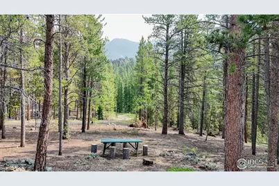 2420 Big Owl Rd, Allenspark, CO 80510 - Photo 23