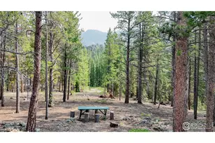 2420 Big Owl Rd, Allenspark, CO 80510 - Photo 23