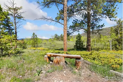 5449 N County Road 73C, Red Feather Lakes, CO 80545 - Photo 27