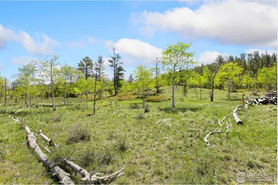 5449 N County Road 73C, Red Feather Lakes, CO 80545 - Photo 13