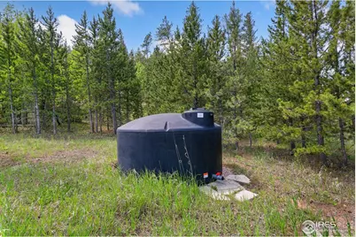 5481 N County Road 73C, Red Feather Lakes, CO 80545 - Photo 19