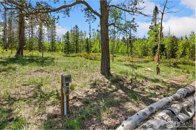 5481 N County Road 73C, Red Feather Lakes, CO 80545 - Photo 21