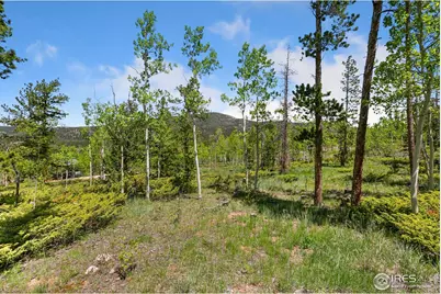 5481 N County Road 73C, Red Feather Lakes, CO 80545 - Photo 29