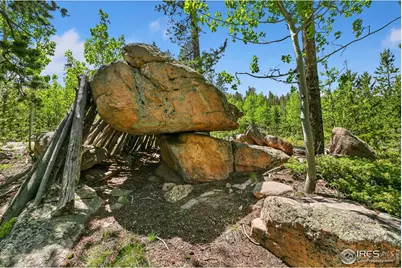 5481 N County Road 73C, Red Feather Lakes, CO 80545 - Photo 23