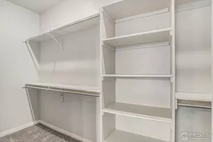 3787 Buckthorn St, Wellington, CO 80549 - Photo 19