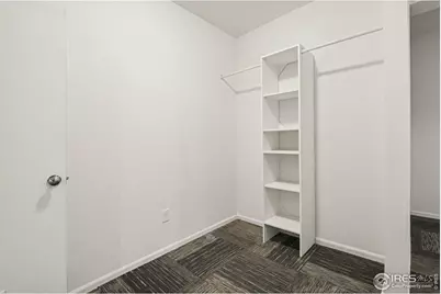 3787 Buckthorn St, Wellington, CO 80549 - Photo 29