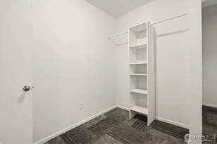 3787 Buckthorn St, Wellington, CO 80549 - Photo 29