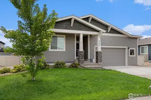 3787 Buckthorn St, Wellington, CO 80549 - Photo 3