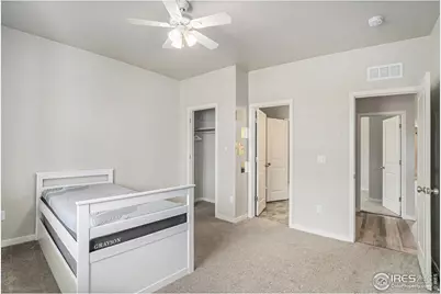 3787 Buckthorn St, Wellington, CO 80549 - Photo 17