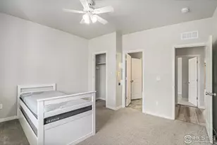 3787 Buckthorn St, Wellington, CO 80549 - Photo 17