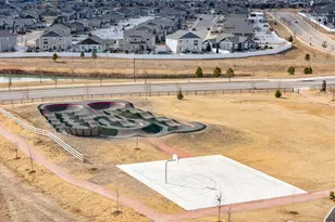 1615 Illingworth Dr, Windsor, CO 80550 - Photo 35