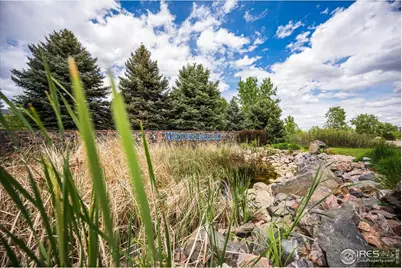 2086 Cape Hatteras Dr, Windsor, CO 80550 - Photo 43