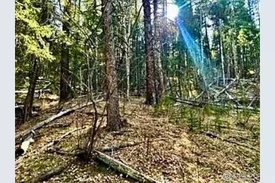 0 Snowy Trl, Conifer, CO 80433 - Photo 11