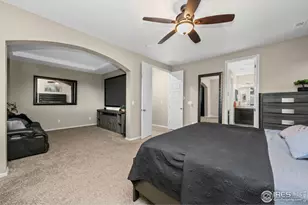 6119 Pryor Rd, Timnath, CO 80547 - Photo 35