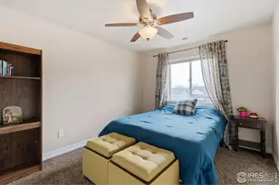 6861 Mt Toll Ct, Wellington, CO 80549 - Photo 19