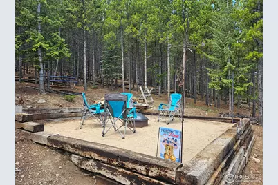 113 Shoshoni Dr, Red Feather Lakes, CO 80545 - Photo 23