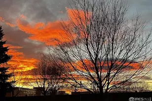 5903 Twin Wash Square, Fort Collins, CO 80528 - Photo 45