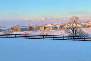 4312 Lemon Grass Dr, Johnstown, CO 80534 - Photo 5