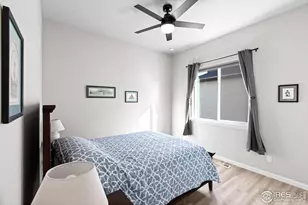 366 Blue Star Dr, Windsor, CO 80550 - Photo 27