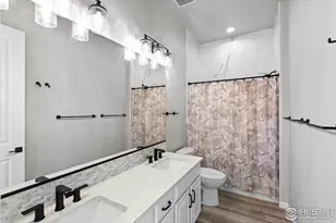 366 Blue Star Dr, Windsor, CO 80550 - Photo 29