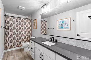 366 Blue Star Dr, Windsor, CO 80550 - Photo 41