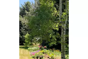 1405 Wimbledon Ct, Fort Collins, CO 80524 - Photo 39