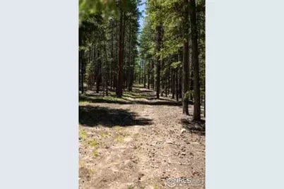 1001 Pactolus Lake Rd, Black Hawk, CO 80422 - Photo 17