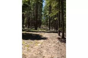 1001 Pactolus Lake Rd, Black Hawk, CO 80422 - Photo 17