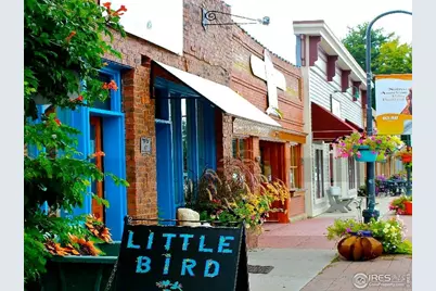 6695 Jacqueline Ct, Niwot, CO 80503 - Photo 7