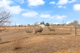 1833 Ridgecrest Rd, Fort Collins, CO 80524 - Photo 35