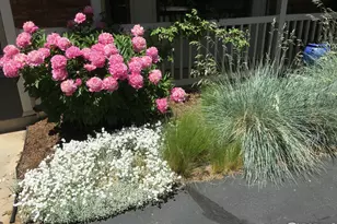 1833 Ridgecrest Rd, Fort Collins, CO 80524 - Photo 33