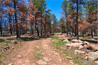 101 Lewis Ln, Lyons, CO 80503 - Photo 15