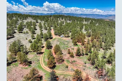 101 Lewis Ln, Lyons, CO 80540 - Photo 3