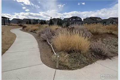 3498 Grayling Dr, Loveland, CO 80538 - Photo 17