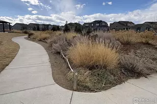 3498 Grayling Dr, Loveland, CO 80538 - Photo 17