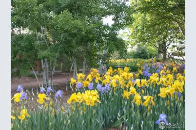 3617 Woodridge Rd, Fort Collins, CO 80524 - Photo 7