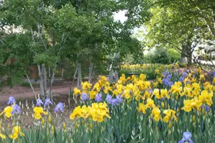 3617 Woodridge Rd, Fort Collins, CO 80524 - Photo 7