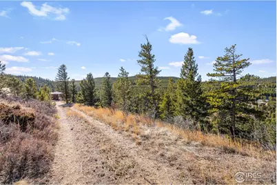 58 Doe Trl, Nederland, CO 80466 - Photo 9