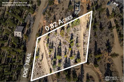 58 Doe Trl, Nederland, CO 80466 - Photo 5