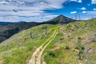 300 Shining Star Trail, Boulder, CO 80302 - Photo 33