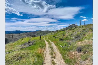 300 Shining Star Trl ##A, Boulder, CO 80302 - Photo 9